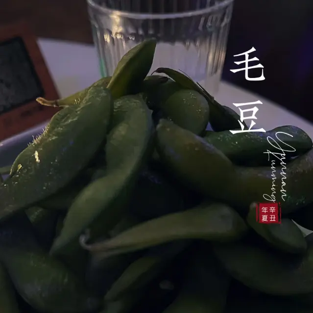 上海最火5个免费景区(上海热门免费景区推荐)